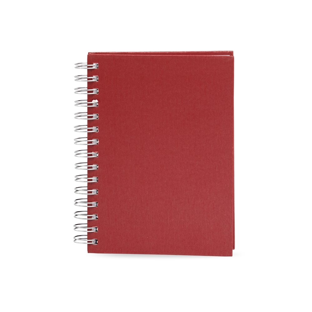 AGENDA DIÁRIA